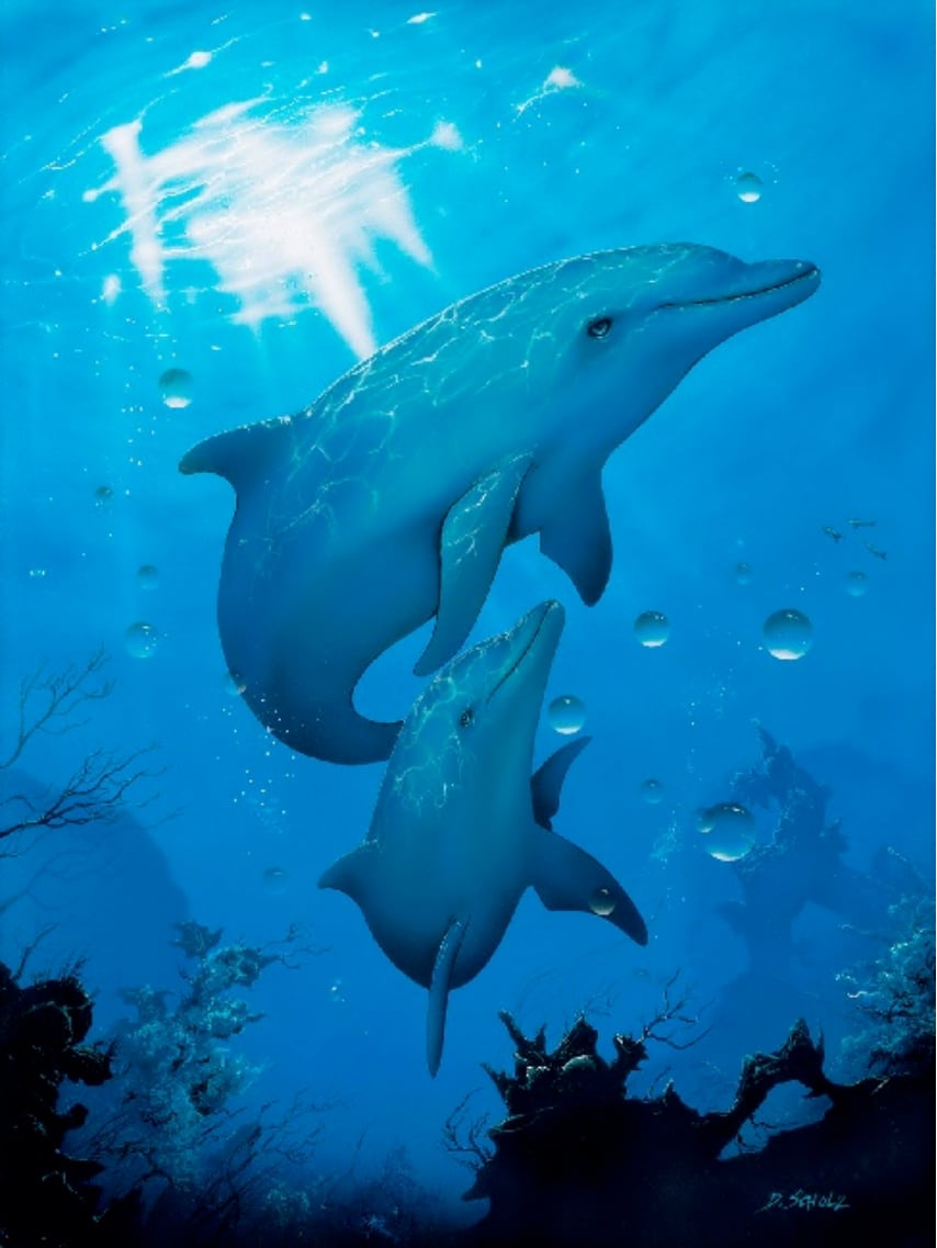 Dolphins - Canvas Giclee