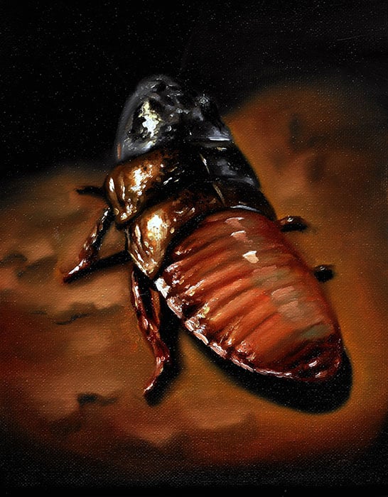 Cockroach - Canvas Giclee