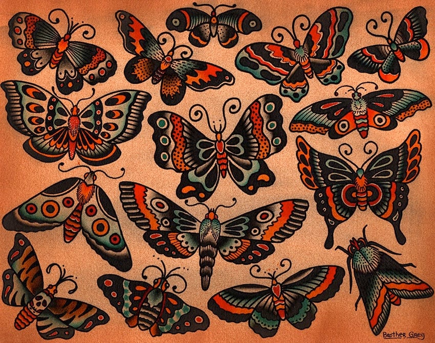 Butterflies & Moths - Canvas Giclee