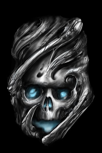 Wrapped Skull-Canvas Giclee